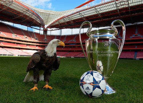 避免球队因 避免球队因